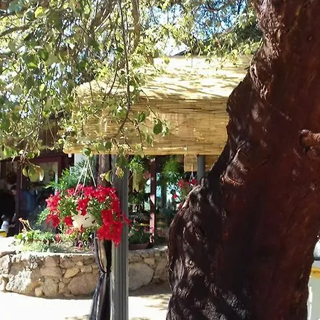 La Tanca B&B Berchiddeddu