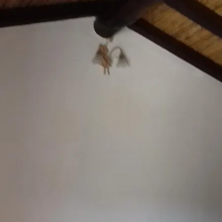 La Tanca