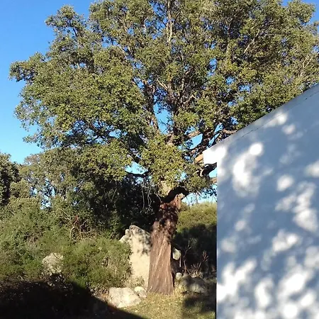 La Tanca B&B *