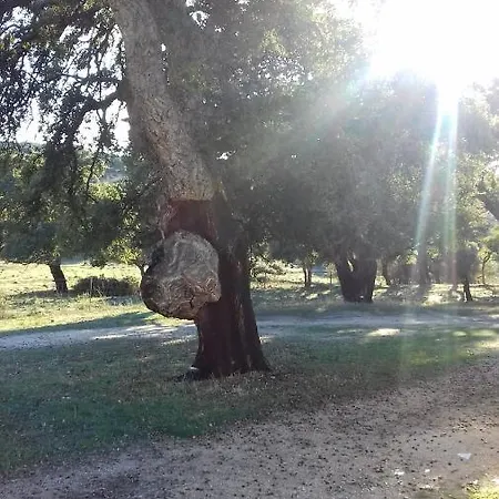 La Tanca Berchiddeddu