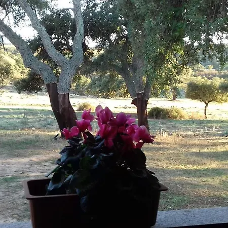 La Tanca לינה וארוחת בוקר