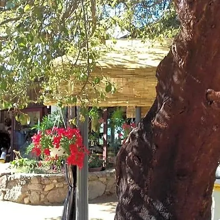 Bed and Breakfast La Tanca 3*