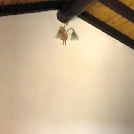 La Tanca Berchiddeddu