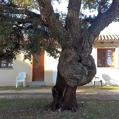 Bed & Breakfast La Tanca Berchiddeddu
