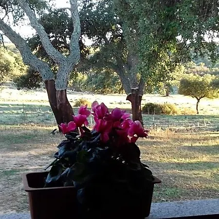 La Tanca