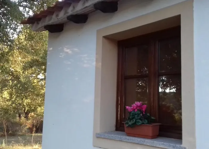 Bed & Breakfast La Tanca Berchiddeddu